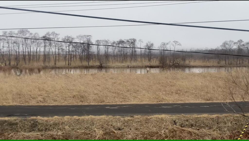 釧路湿原と釧路川