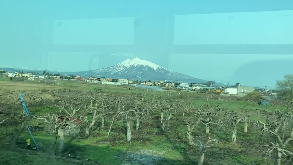 リンゴ畑と岩木山