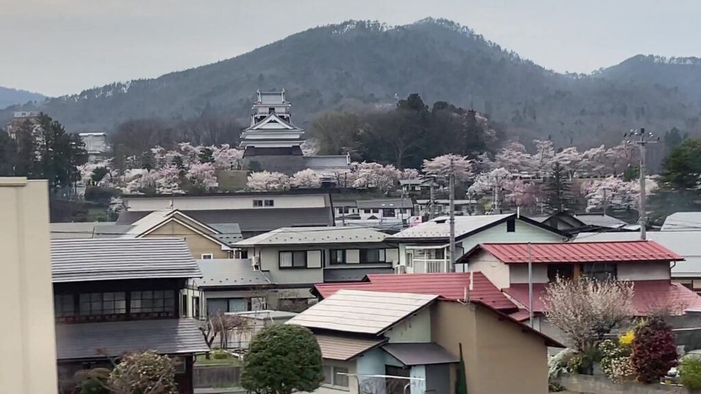 桜に囲まれた上山城