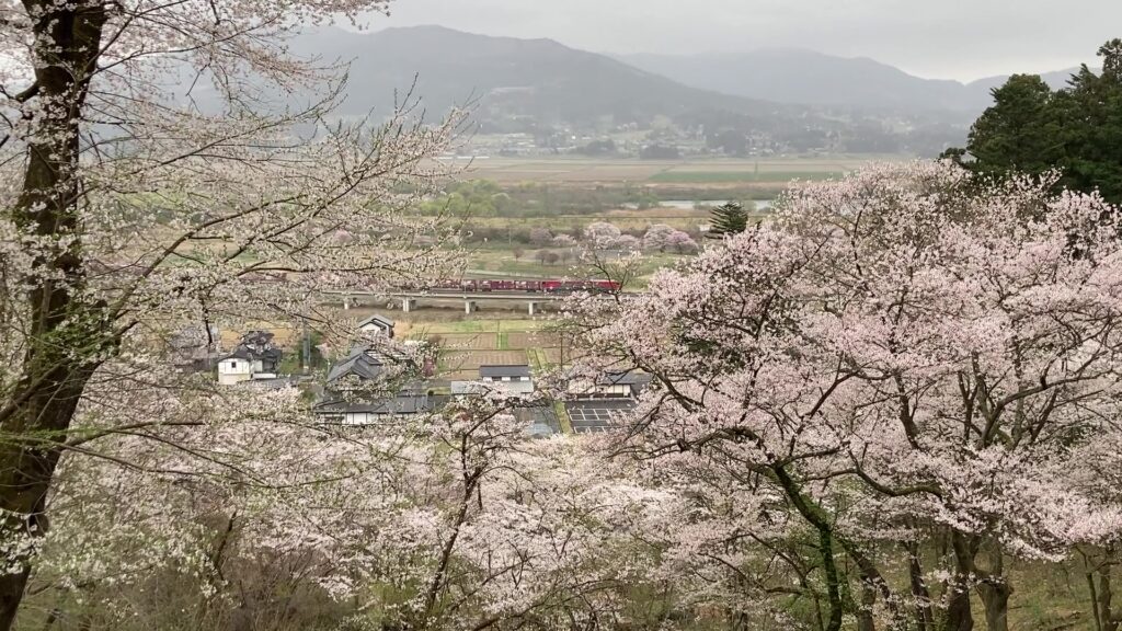 中尊寺の山から見る平泉と貨物列車