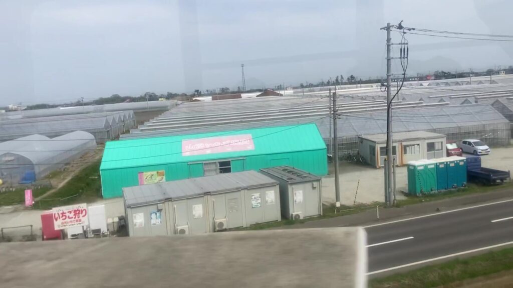 新設区間から見るいちご農園(山元町名物)