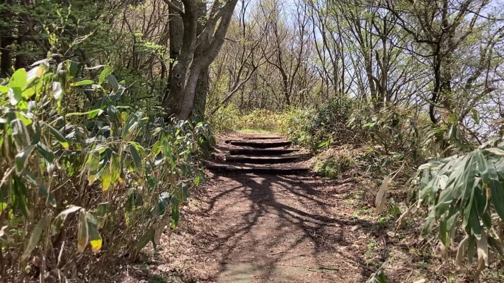 弥彦山山頂への道