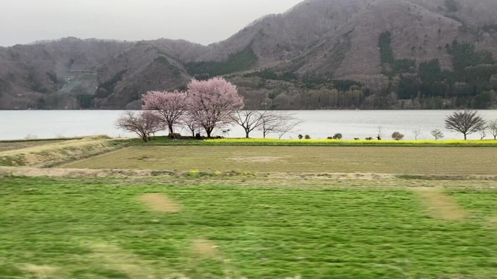 木崎湖湖畔