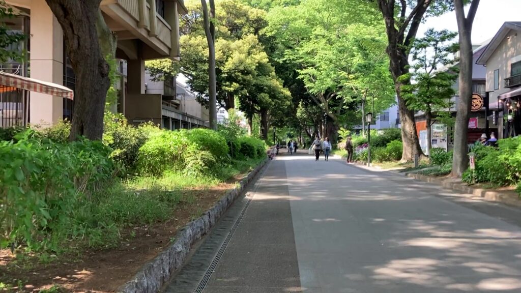 氷川神社の参道