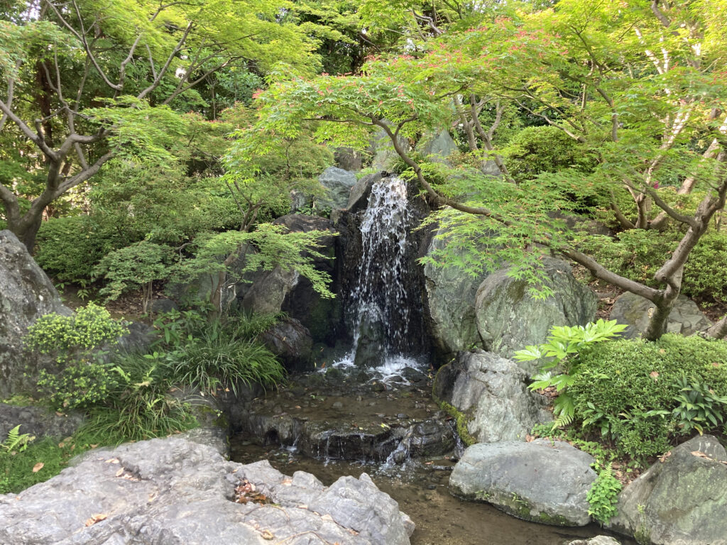 極楽浄土の庭①