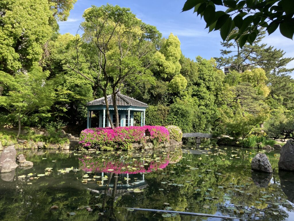 極楽浄土の庭②