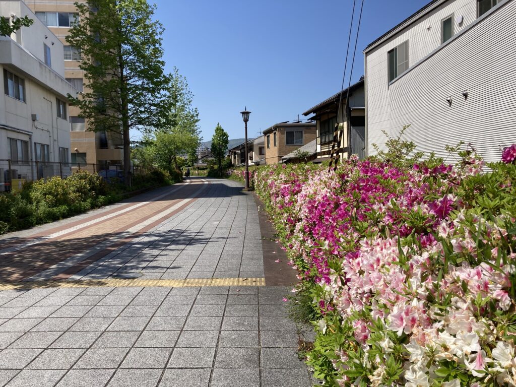 遊歩道の入口