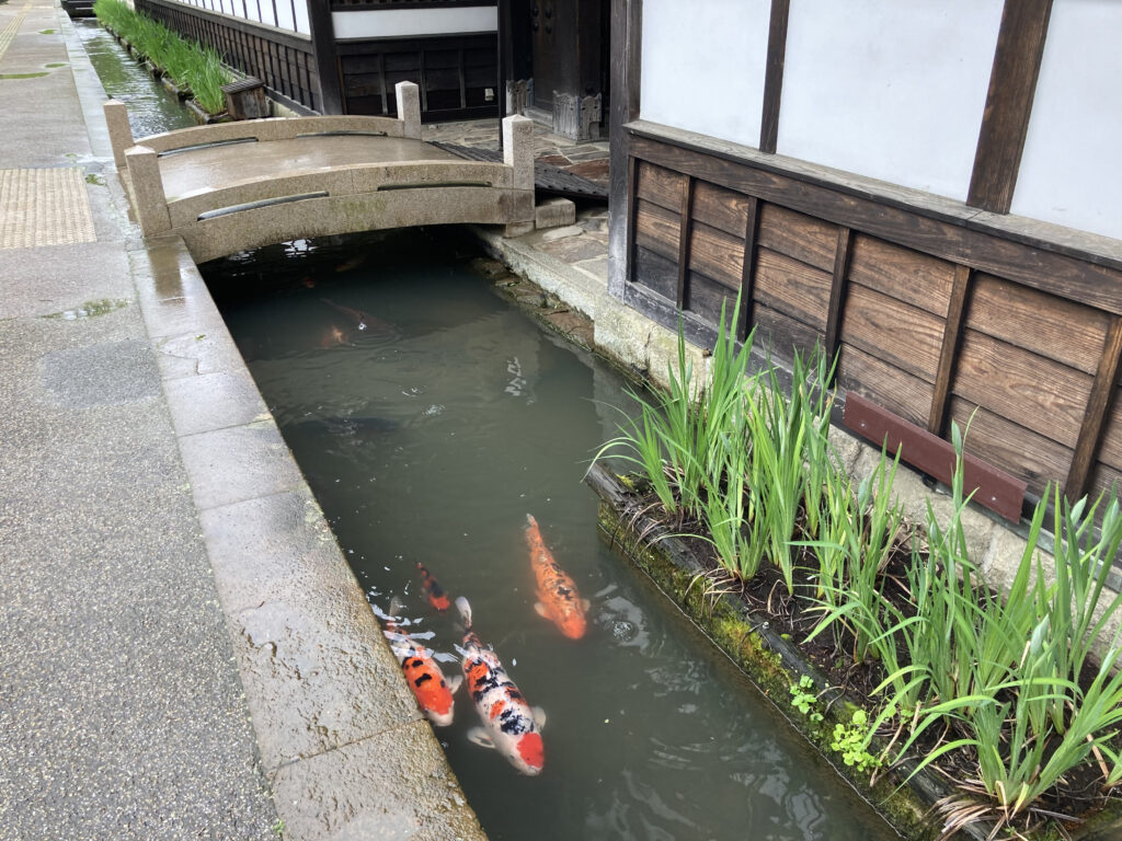 殿町通りの水路