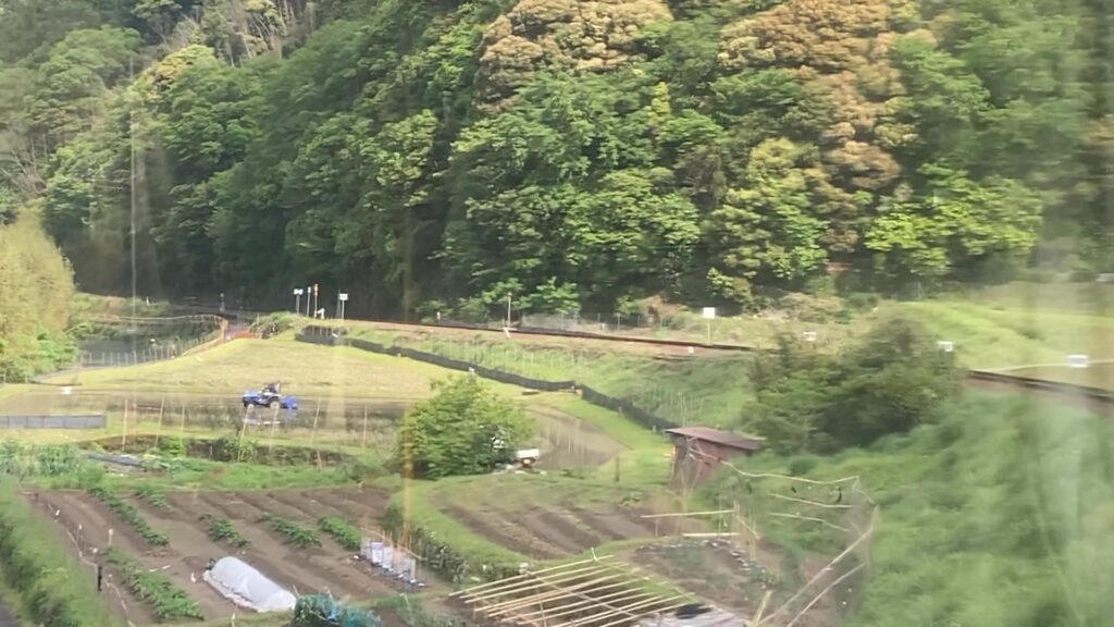 大ヶ峠の峠区間