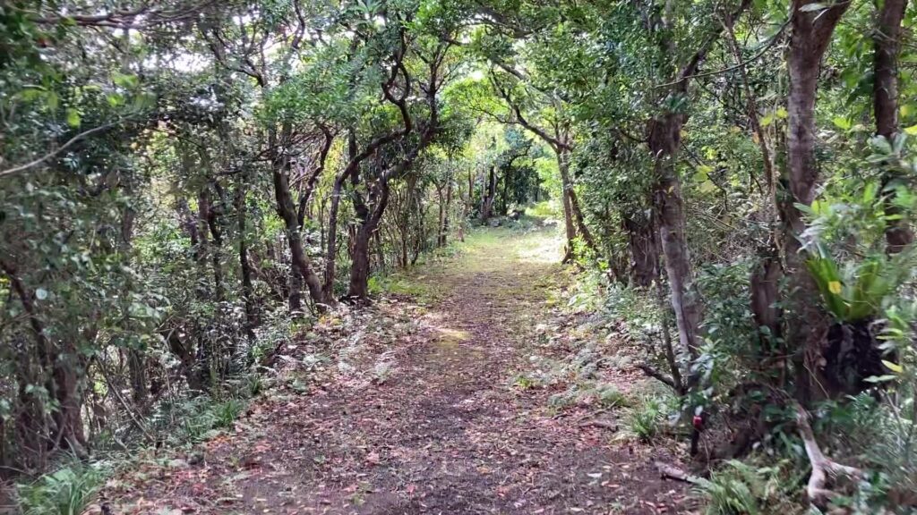 丸山遊歩道