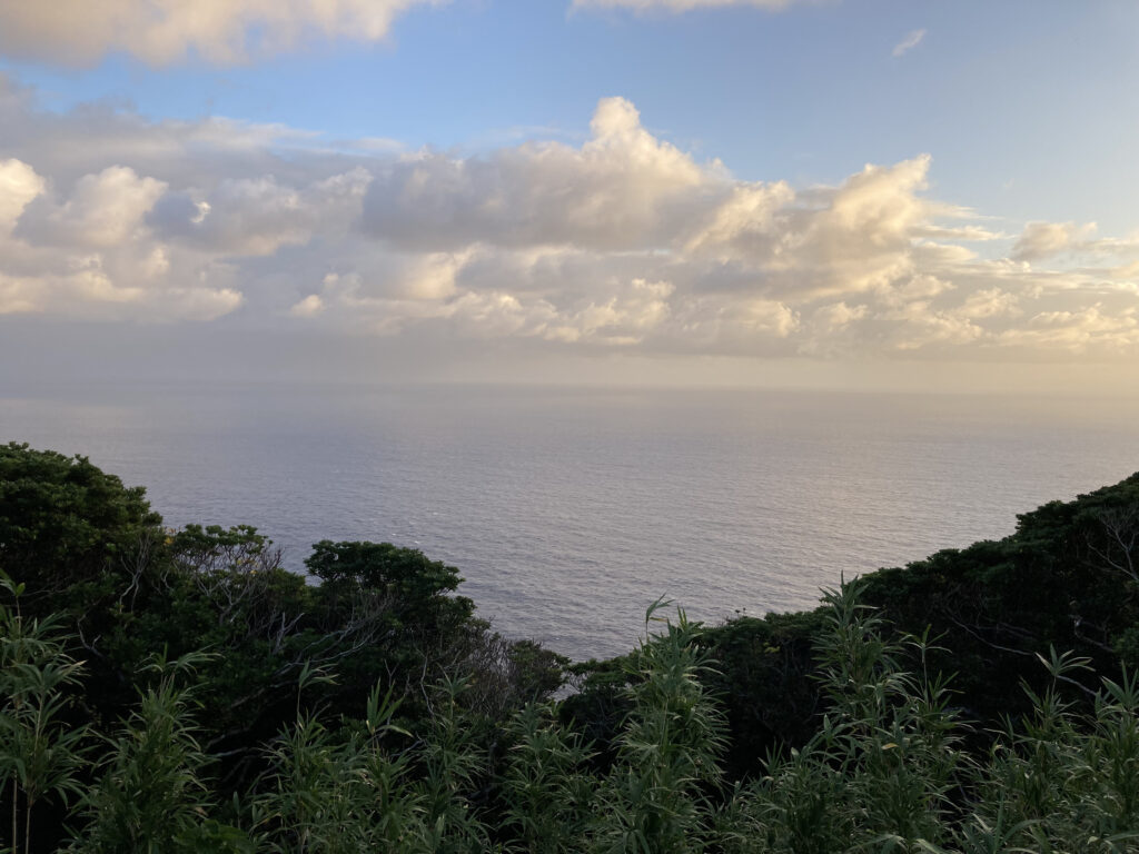 急な参道から見た海の景色