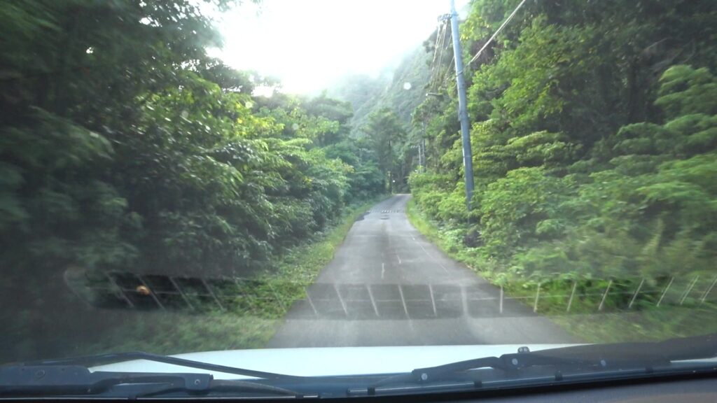 池之沢地区の都道